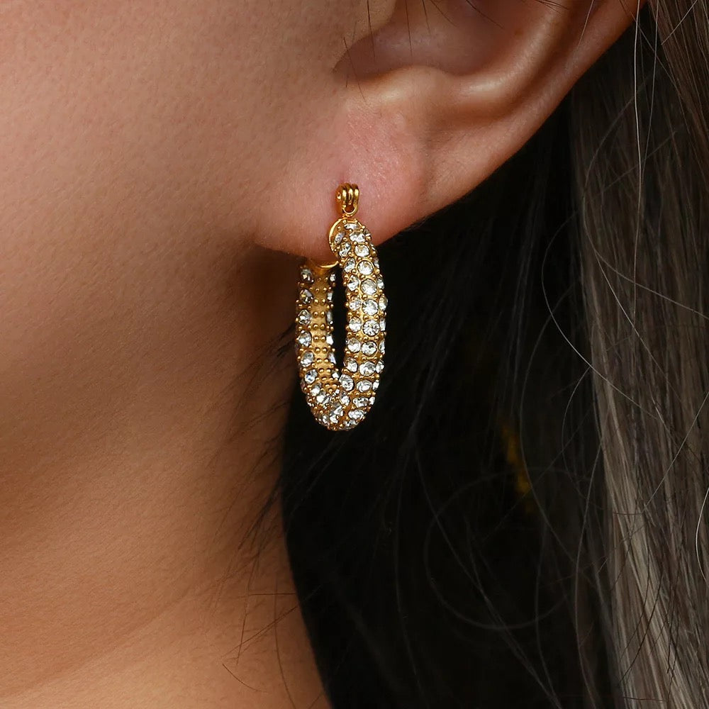 Crystal Gold Hoop Earrings